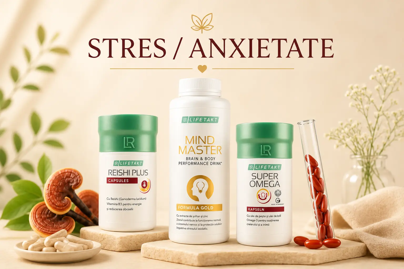 Stres, Anxietate & Energie